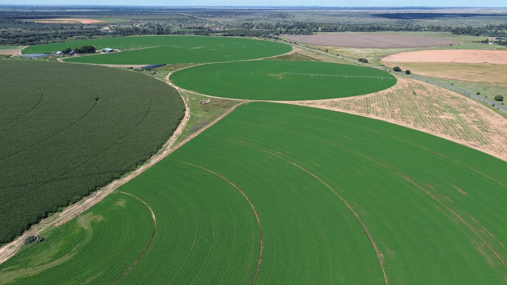 Aerial view of center pivot irrigation circles across lush green farmland