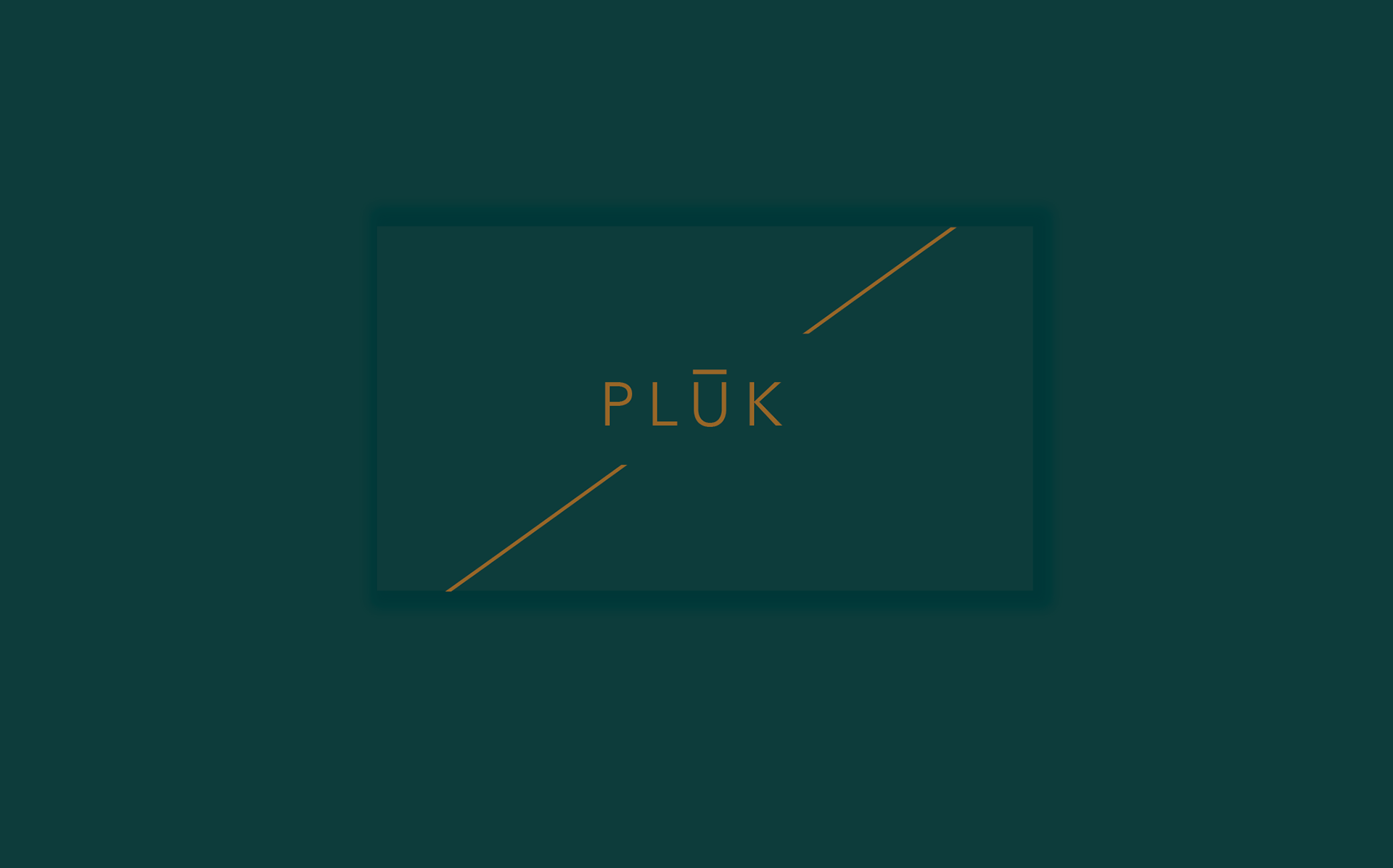 PLŪK brand identity
